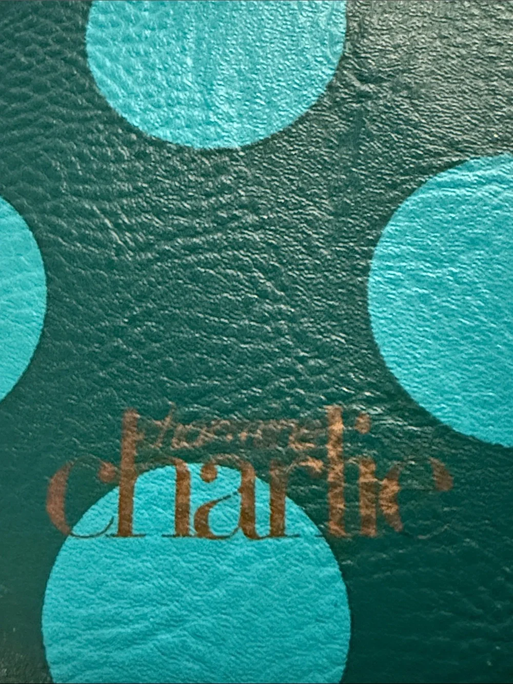 Charming Charlie Polka Dot Faux Leather Eyeglass Sleeve!